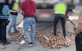 Moroccan Driver Caught with 2 Tons of Hashish at Spanish Port