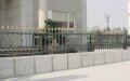 Moroccan Expat Pleads for Justice in Land Dispute with Ailing Neighbor