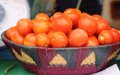 Moroccan Exporters Urge Government Action as Spanish Farmers Block Agricultural Shipments to Europe