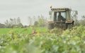 Moroccan Family Arrested for Exploiting Agricultural Workers in France