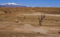 Moroccan Farmers Seek Urgent Aid as Drought Devastates Livestock Industry