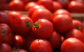 Moroccan Farmers Urge Government to Lift Ban on Vegetable Exports