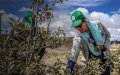 Moroccan Fertilizer Giant OCP Unveils $11.7 Billion Green Investment Plan