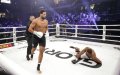 Moroccan Fighter Jamal Ben Saddik Secures First-Round KO Victory at Glory 81