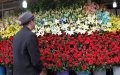 Moroccan Flower Industry Wilts Amid Pandemic Restrictions