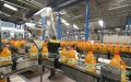 Moroccan Food Giant Lesieur Cristal Thrives, Plans 83 Million Dirham Dividend Despite Pandemic