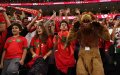 Moroccan Football Federation Launches Probe into World Cup Ticket Scandal