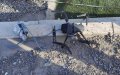 Moroccan Forces Intercept Drug-Smuggling Drone at Algerian Border