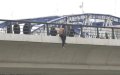 Moroccan Immigrant Rescued After Suicide Attempts on Spanish Bridge