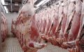 Moroccan Interior Minister Defends Meat Safety Amid Slaughterhouse Concerns