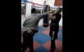Moroccan Kickboxing Federation Condemns Instructor's Violent Attack on Student