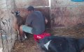 Moroccan Man Arrested for Sexually Exploiting Migrant Farm Workers in Spain