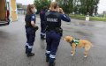 Moroccan Man Sentenced to 5 Years for Smuggling $1 Million in Cocaine into France