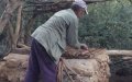 Moroccan Man's Burned Body Found; Son Suspected in Gruesome Parricide Case