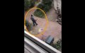 Moroccan Man's Death in German Police Operation Sparks Outcry and Diplomatic Response