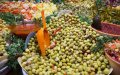 Moroccan Olive Oil Prices Surge: Experts Predict Costs to Exceed 120 Dirhams per Liter
