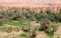 Moroccan Parliament Urges Protection of Vulnerable Oases Amid Summer Fire Threats