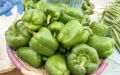 Moroccan peppers banned in Germany