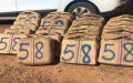 Moroccan Police Arrest Three in Major Drug Trafficking Bust