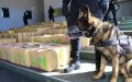 Moroccan Police Bust International Drug Ring, Arrest French Homicide Suspect