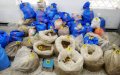 Moroccan Police Bust Major Cannabis Ring: Over 1.3 Tons Seized, 3 Arrested