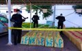 Moroccan Police Seize 9.5 Tons of Drugs in Major Highway Bust