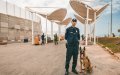 Moroccan Port Bust: 18 Arrested in International Drug Smuggling Attempt