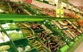 Moroccan Produce Gains Ground in European Supermarkets, Challenging Spanish Farmers