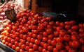 Moroccan Produce Gains Popularity in Europe Amid Supply Chain Challenges