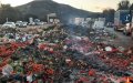 Moroccan Producers Deny Agreement to Halt Tomato Exports to France