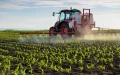 A Moroccan Rock Could Become a New Fertilizer for Africa