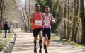 Moroccan Runner Dominates Segovia Half Marathon, Sets Winning Pace