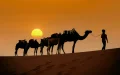 The Moroccan Sahara has a new asset: these "caravan" hikes are attracting visitors in the winter