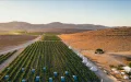Moroccan Sahara seawater desalination agricultural development