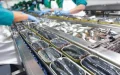 Moroccan Sardines Spain Export Suspension Negotiations