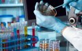Moroccan Scientists Identify Gene Linked to Rare Vision Loss Disease