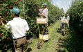 Moroccan Seasonal Workers Stranded in France Seek Repatriation Amid COVID Restrictions