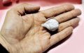 Moroccan Soccer Player Arrested in Marrakech for Drug Possession
