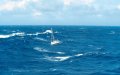 Moroccan Soccer Players Missing at Sea After Beach Outing Turns Tragic