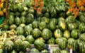 Moroccan watermelon accused of driving prices down to 24 cents in Spain