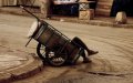 Moroccan Woman Dies in Childbirth After Lack of Ambulance Forces Cart Transport