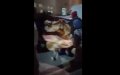 Moroccan Woman Gives Birth on Street After Hospital Denies Entry, Sparking Outrage