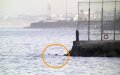 Moroccan Woman Swims to Freedom from Spanish Enclave Amid Border Closure