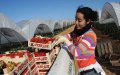 Moroccan Women Boost Spanish Berry Harvest in Successful Seasonal Migration Program