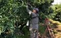 Moroccan workers exploited in the Bordeaux region