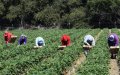 Moroccan Workers Scammed in French Job Scheme, Trial Set for August
