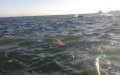 Moroccan Youths Attempt Risky Swim from Ceuta to Morocco for Ramadan Reunion
