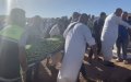 Moroccans killed by the Algerian army: a complaint in preparation