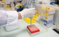 Morocco Advances Biomedical Research with New Protections for Study Participants