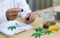 Morocco Advances Cannabis Research with New Scientific Partnerships